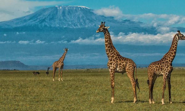 Amboseli-National-Park